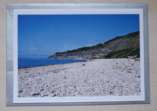 Monmouth Beach - Dorset (A6)